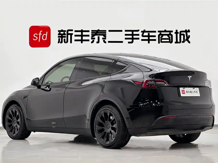 Model Y 2021 Standard Range Rear-Wheel Drive