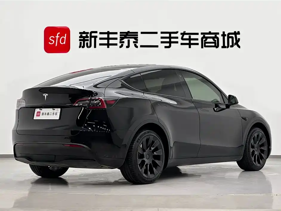 Model Y 2021 Standard Range Rear-Wheel Drive