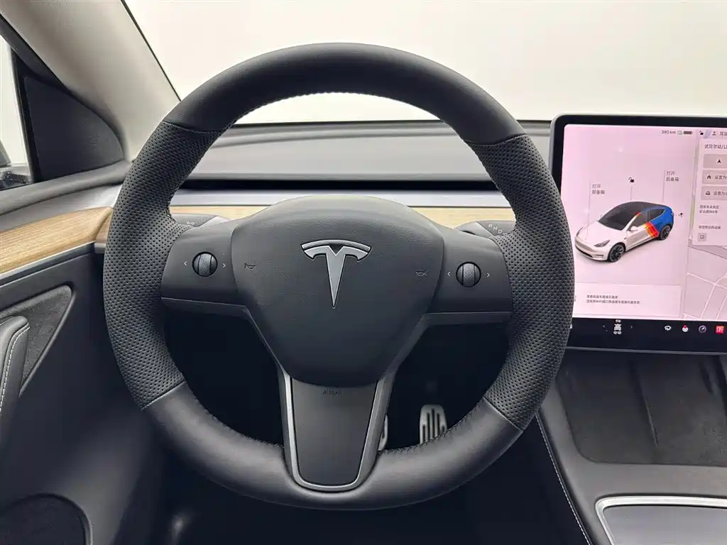 Model Y 2021 Standard Range Rear-Wheel Drive