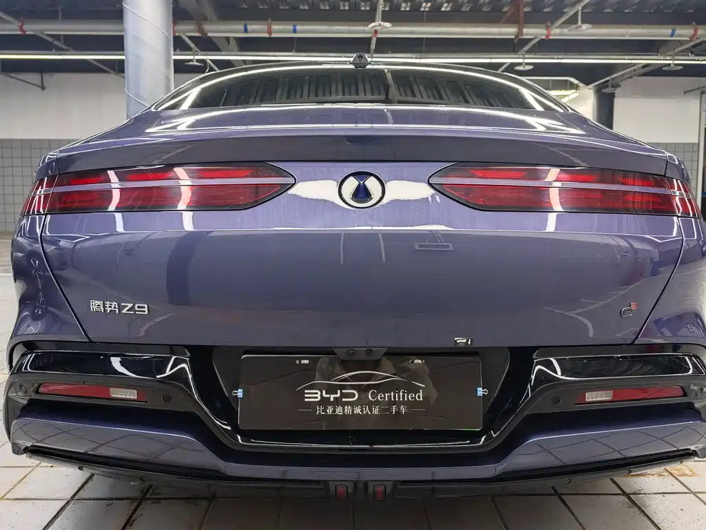 Denza Z9 2024 1100km AWD Max Edition