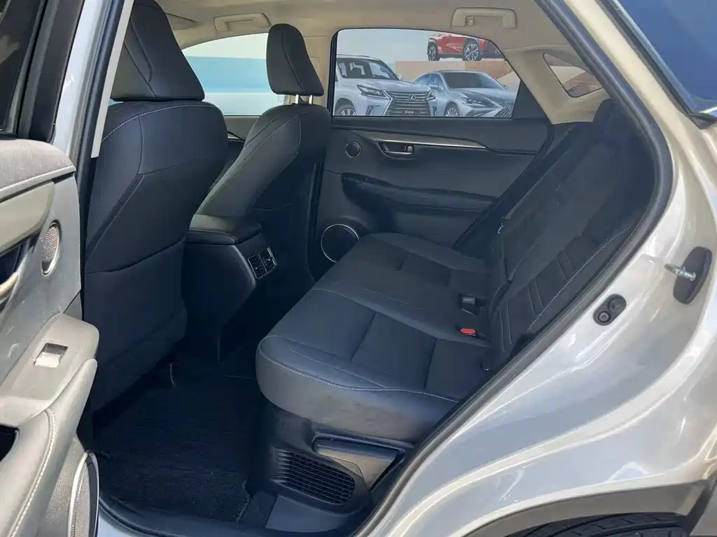Lexus NX 2018 300 FWD Fengxing Edition
