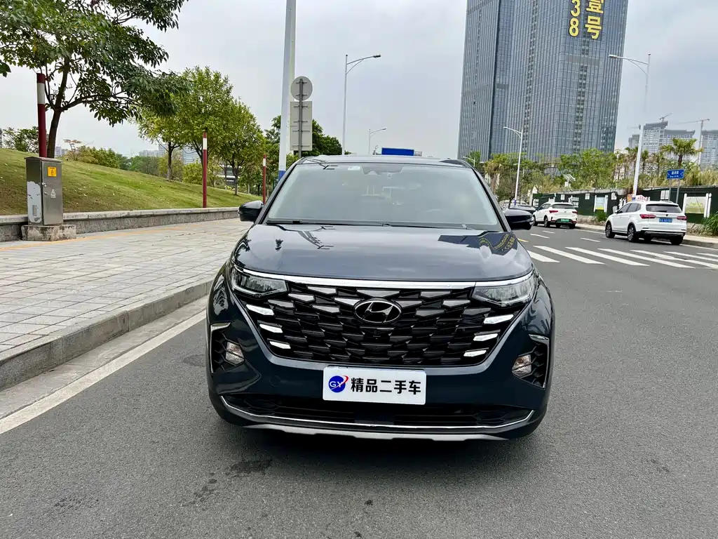 Hyundai Custo 2021 380TGDi TOP Premium