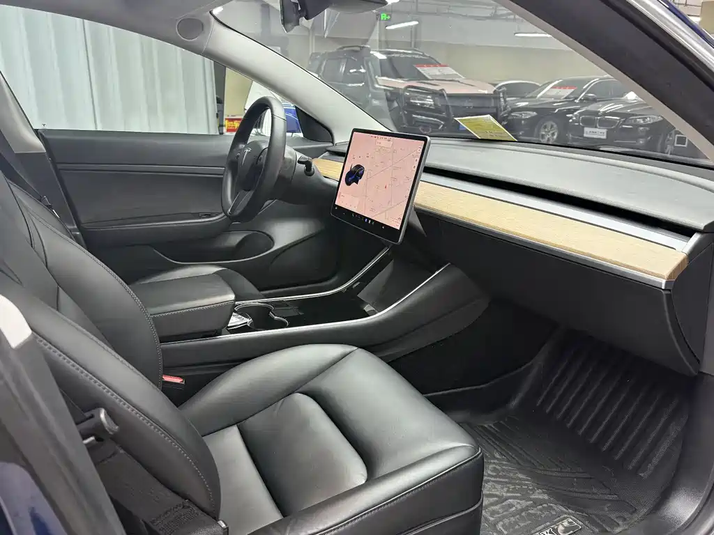 Tesla Model 3 2020 Standard Range Plus RWD