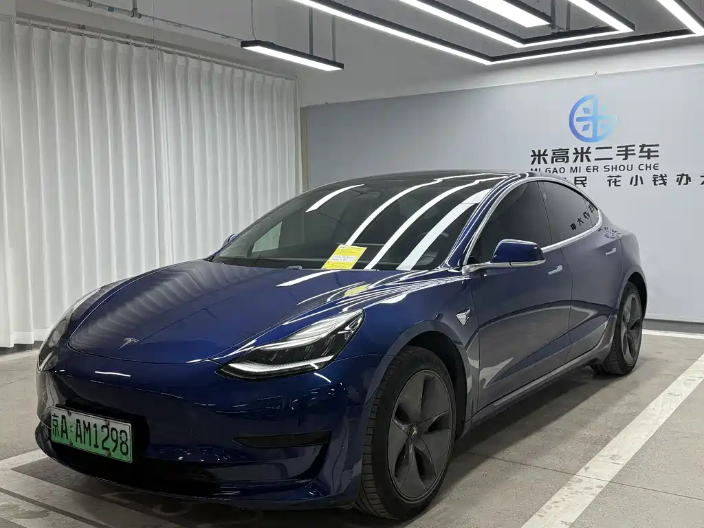 Tesla Model 3 2020 Standard Range Plus RWD