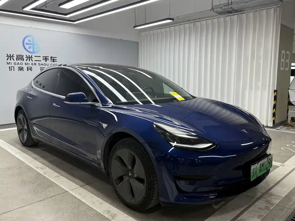 Tesla Model 3 2020 Standard Range Plus RWD