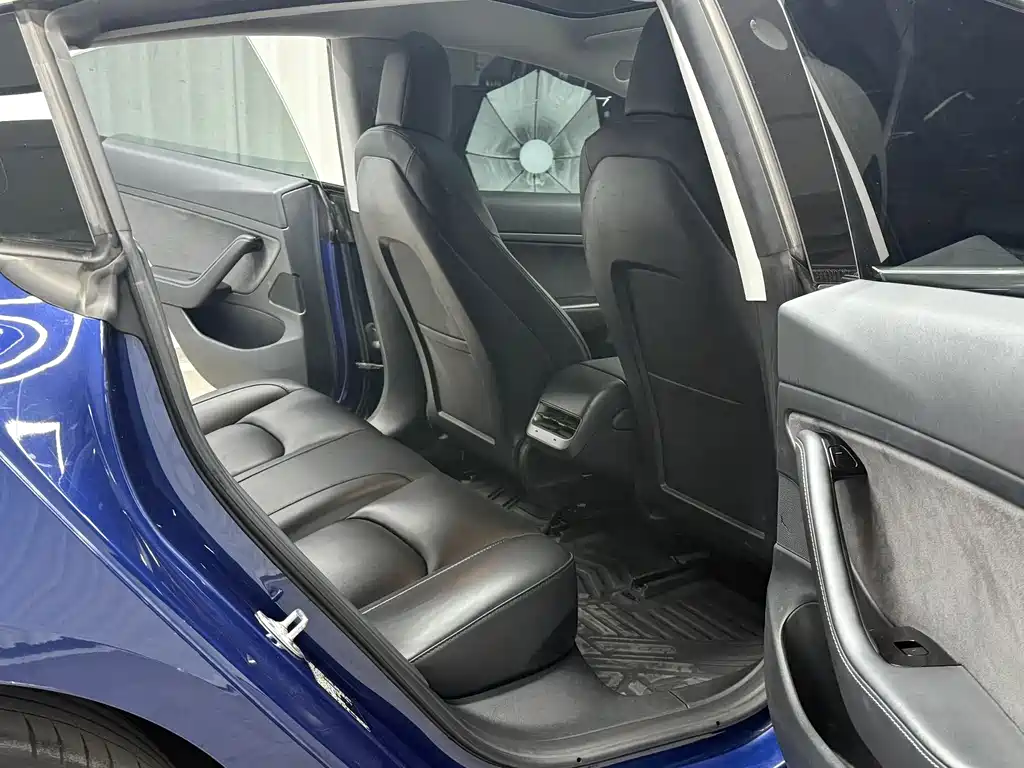 Tesla Model 3 2020 Standard Range Plus RWD
