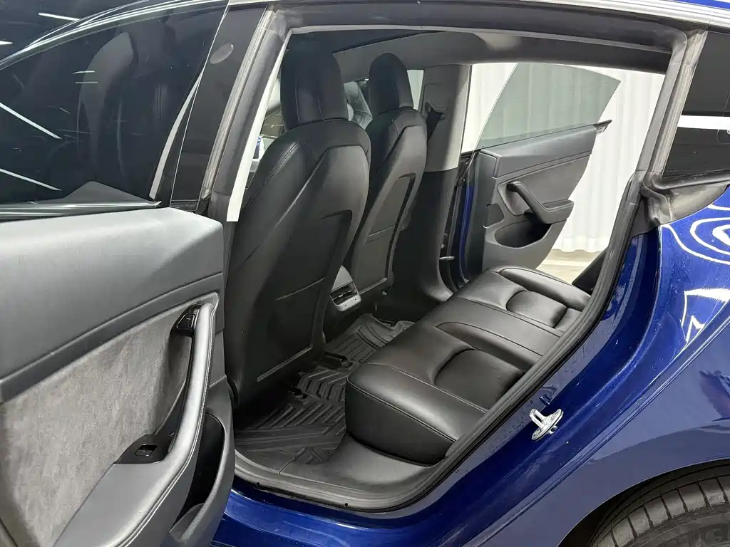 Tesla Model 3 2020 Standard Range Plus RWD