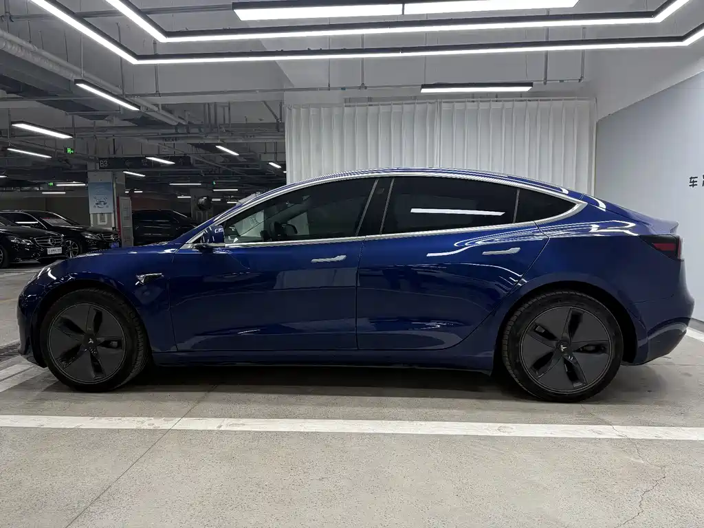 Tesla Model 3 2020 Standard Range Plus RWD