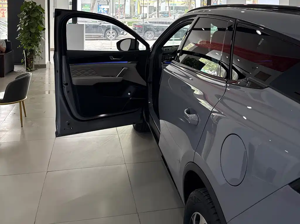 Tang New Energy 2025 Intelligent Driving Edition DM-i 115KM Flagship