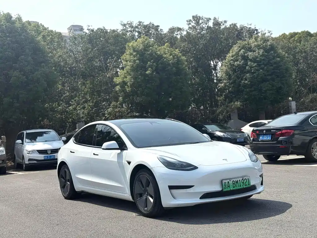 Model 3 2023 Rear-Wheel Drive