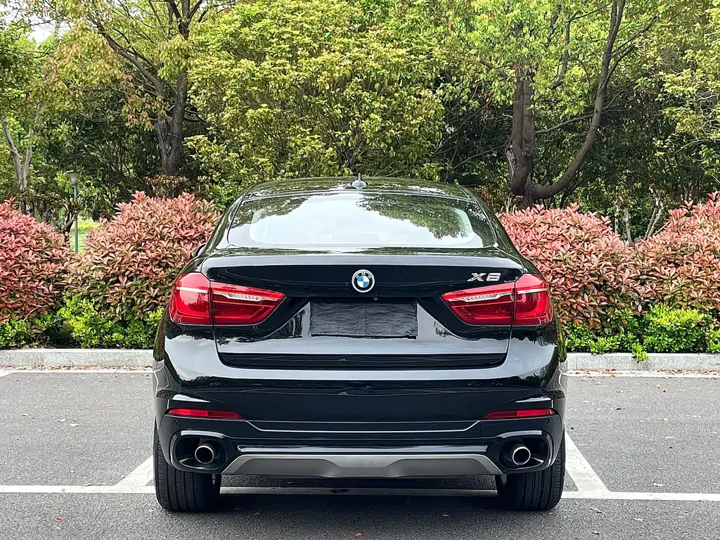 BMW X6 2017 xDrive35i Leading Edition