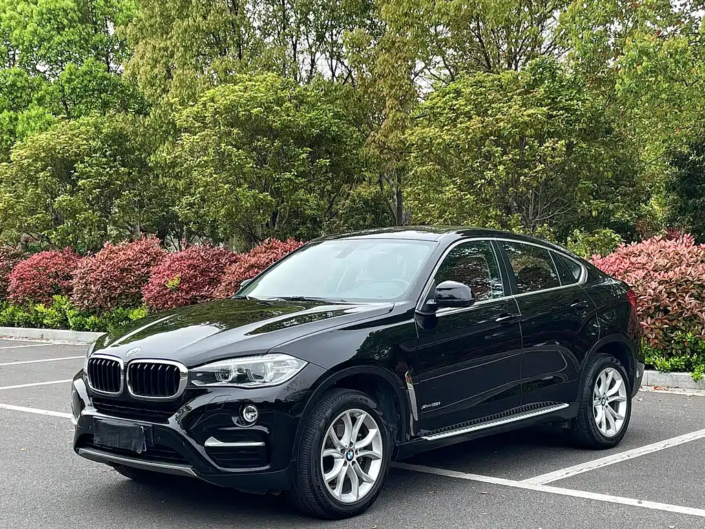 BMW X6 2017 xDrive35i Leading Edition