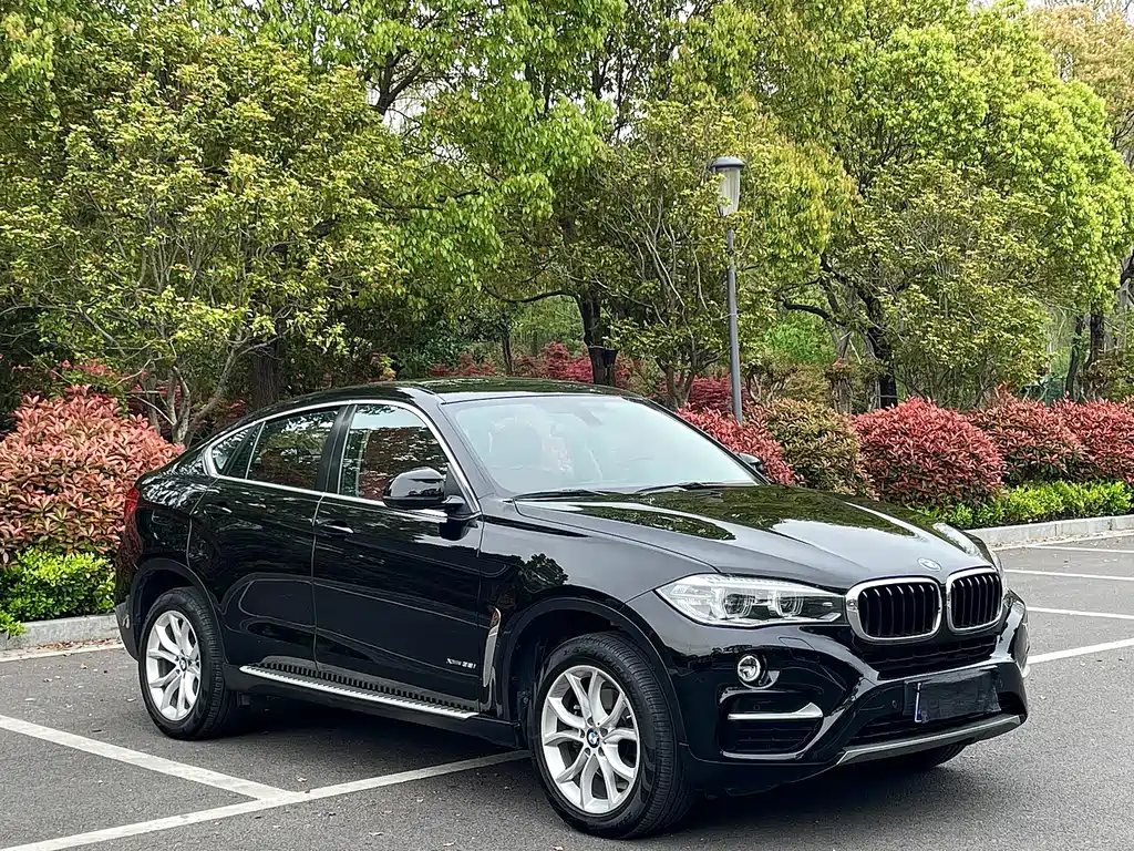 BMW X6 2017 xDrive35i Leading Edition