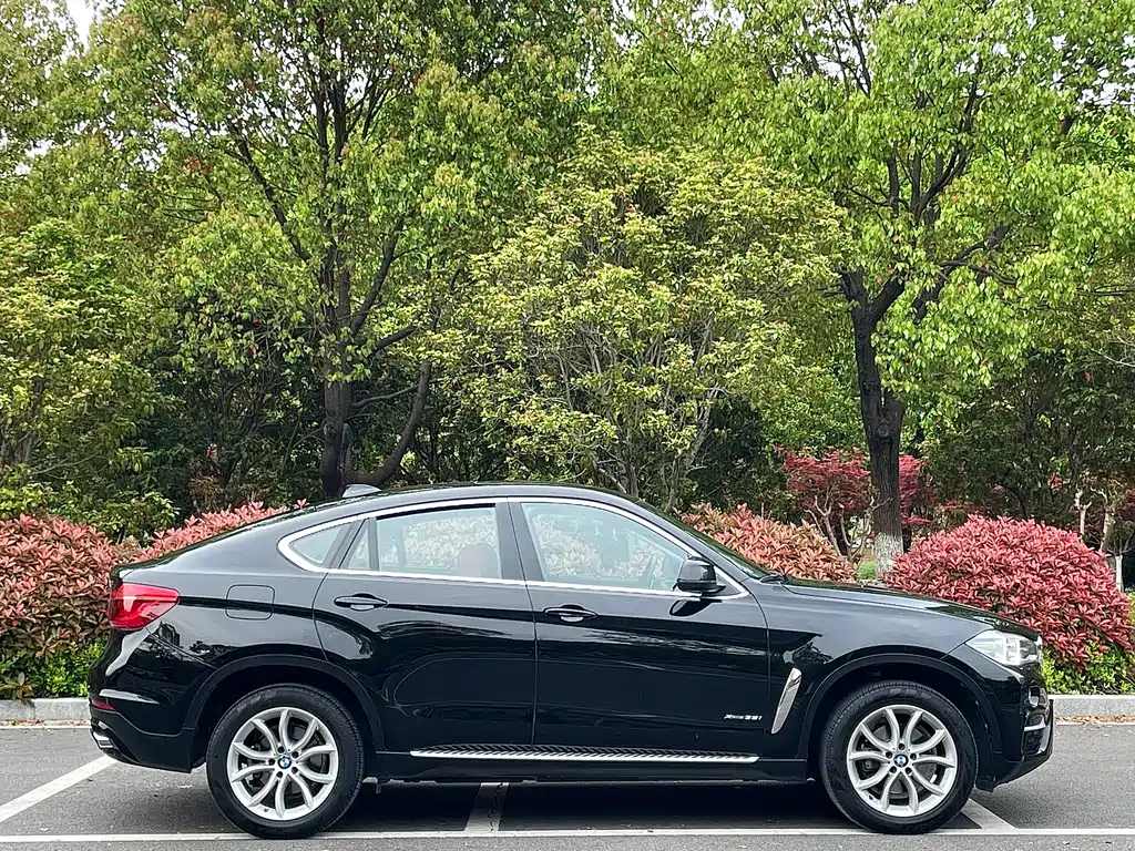 BMW X6 2017 xDrive35i Leading Edition