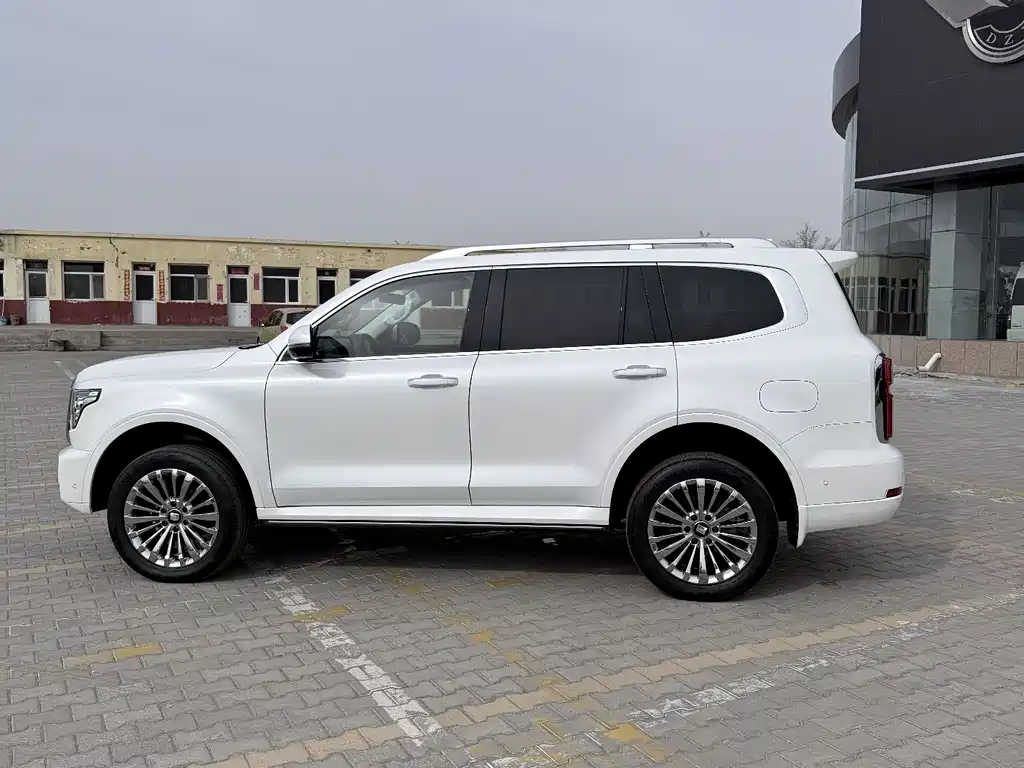 Tank 500 2023 3.0T Business Edition Zaojing Type 5-Seater
