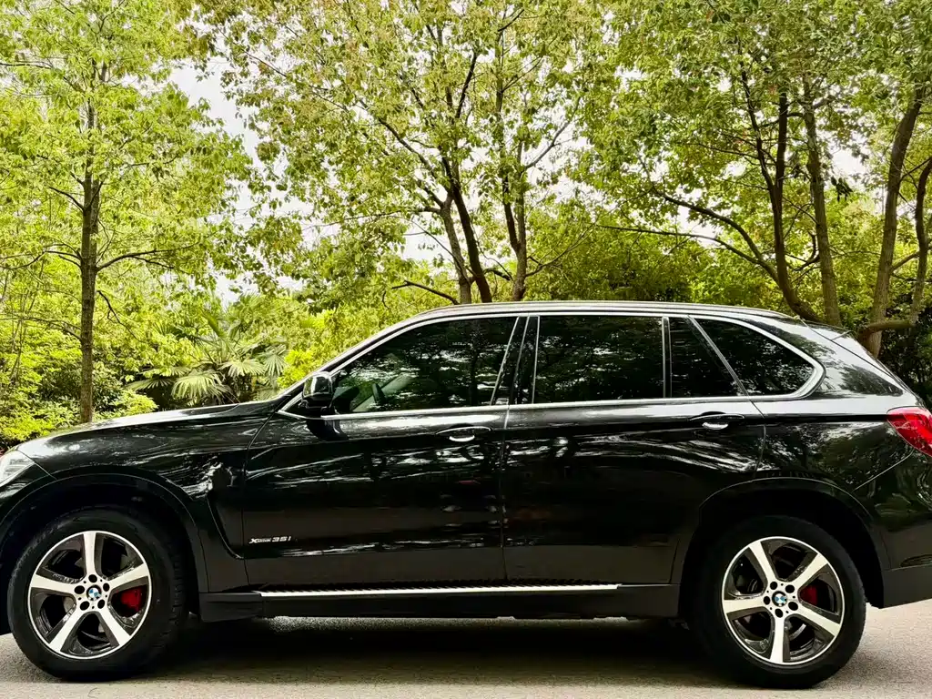 BMW X5 2018 xDrive35i Elegance Edition
