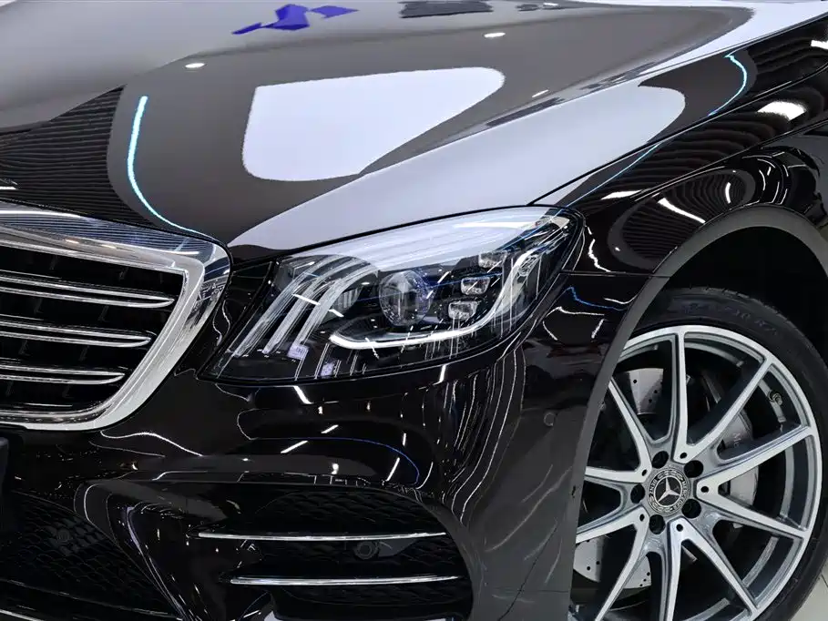 Mercedes-Benz S-Class 2020 S 450 L 4MATIC Zhenzang Edition