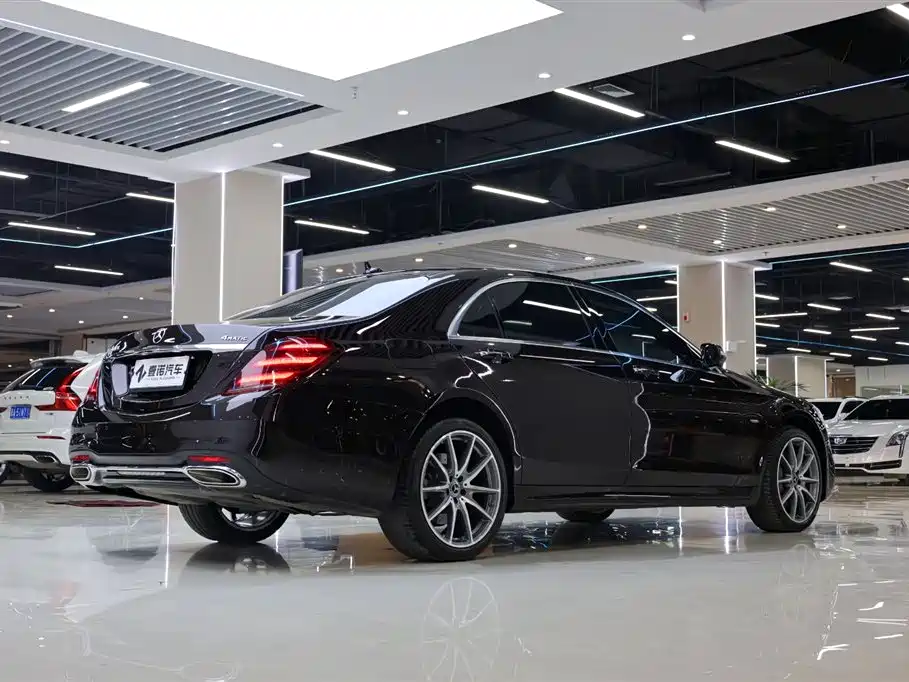 Mercedes-Benz S-Class 2020 S 450 L 4MATIC Zhenzang Edition