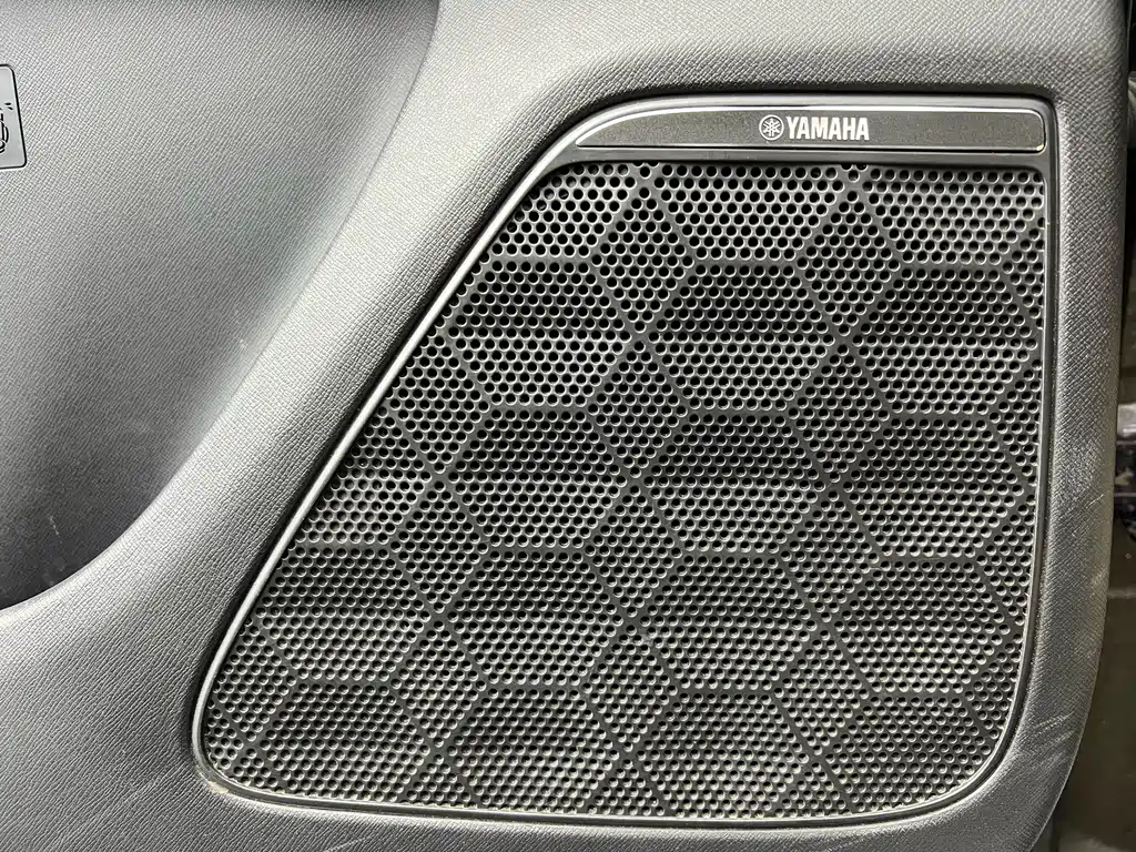 GAC Trumpchi E9 2023 E9 MAX