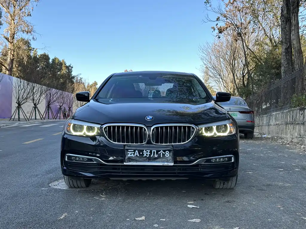 BMW 5 Series 2019 530Li Leading Edition Luxury Package
