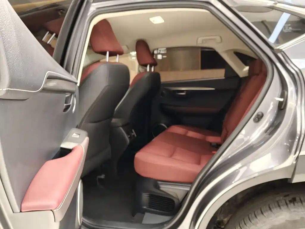 Lexus NX 2018 200 FWD Fengxing Edition China V