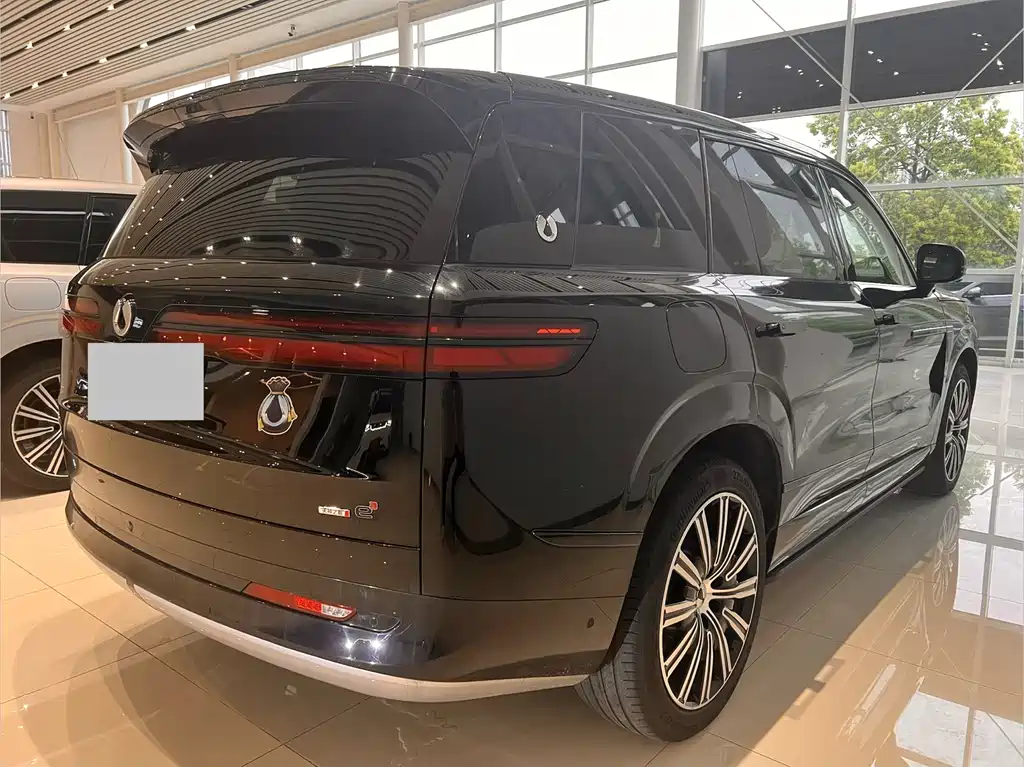 Denza N9 2025 Zunjong Edition