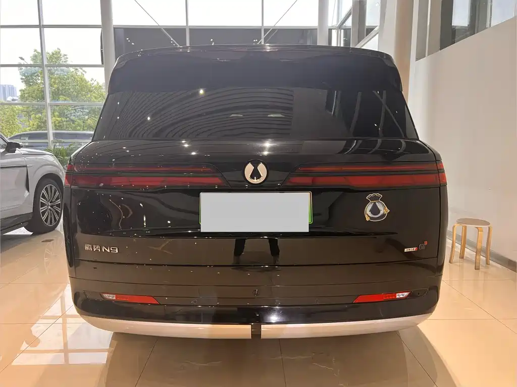 Denza N9 2025 Zunjong Edition
