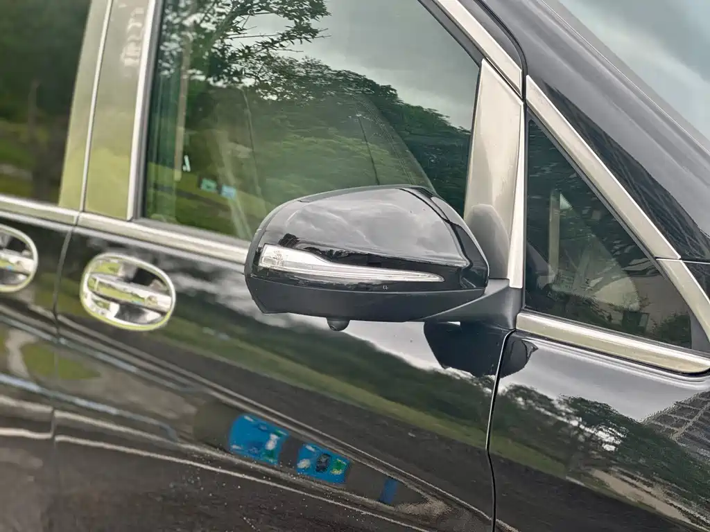 Vito 2018 2.0T Business Edition China V