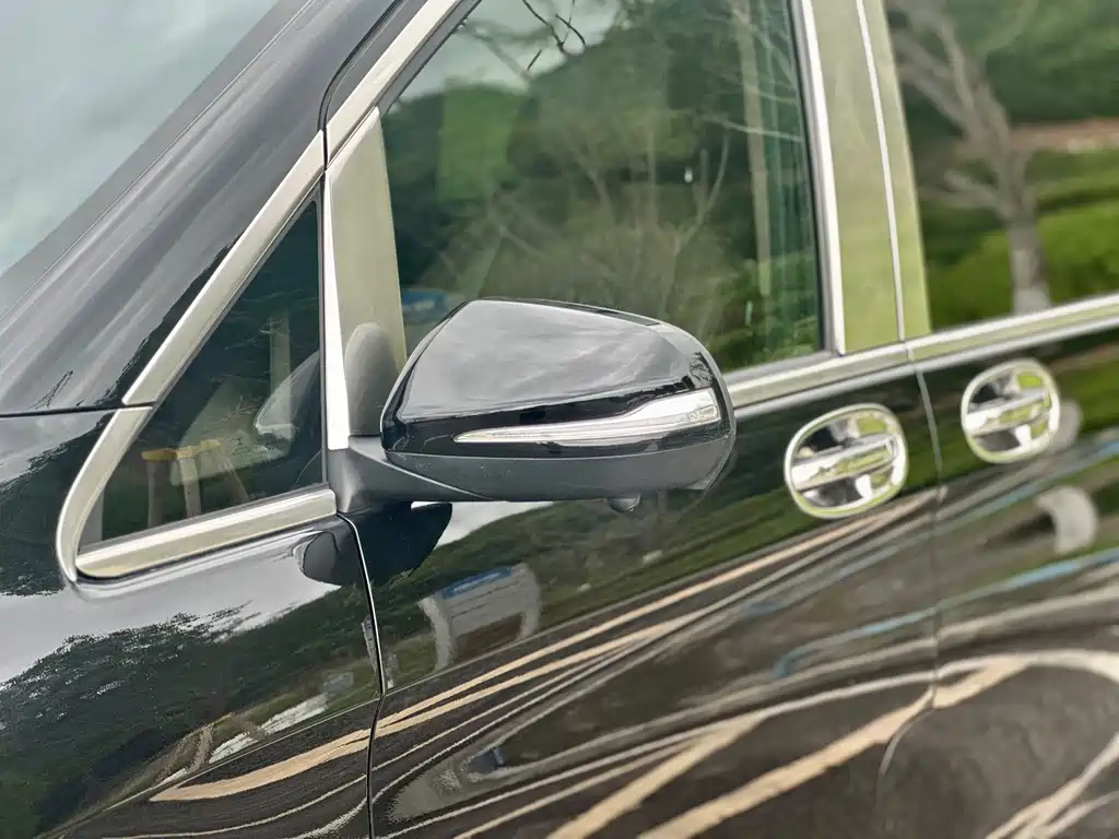 Vito 2018 2.0T Business Edition China V