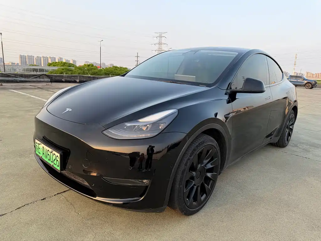 Model Y 2021 Standard Range RWD