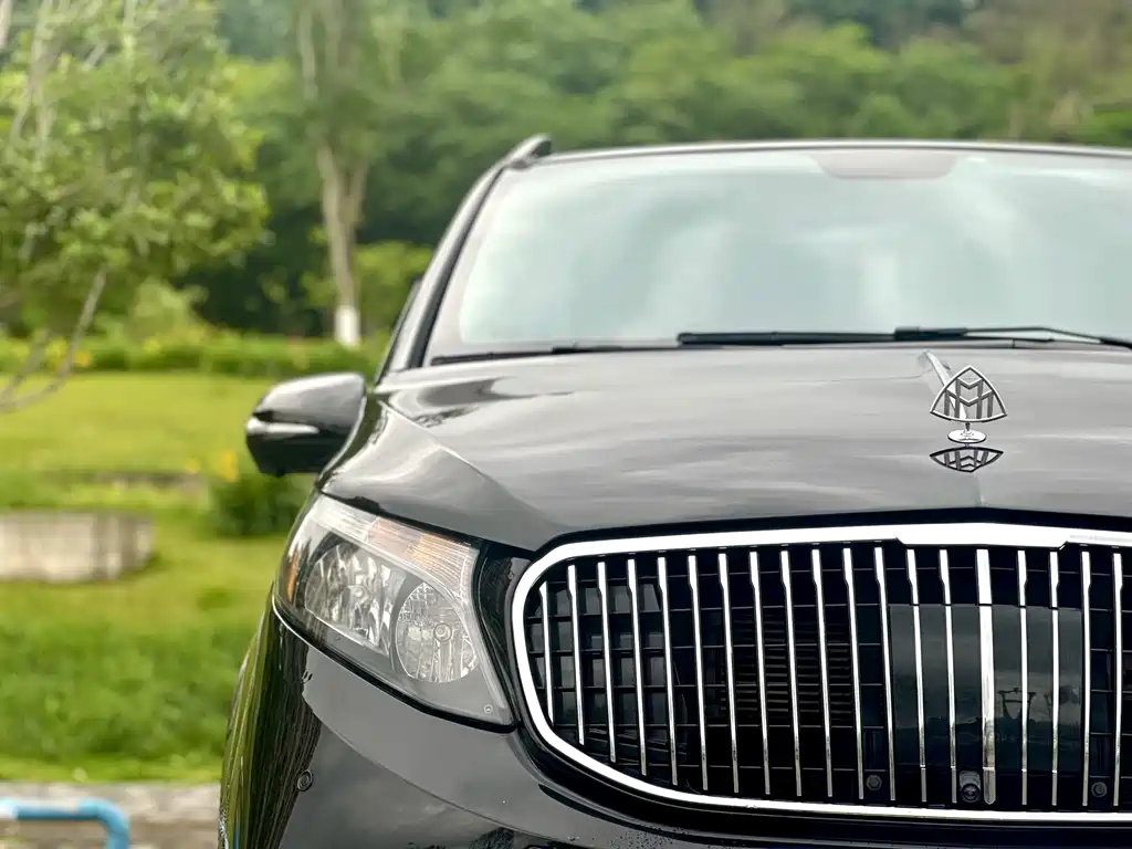 Vito 2018 2.0T Business Edition China V