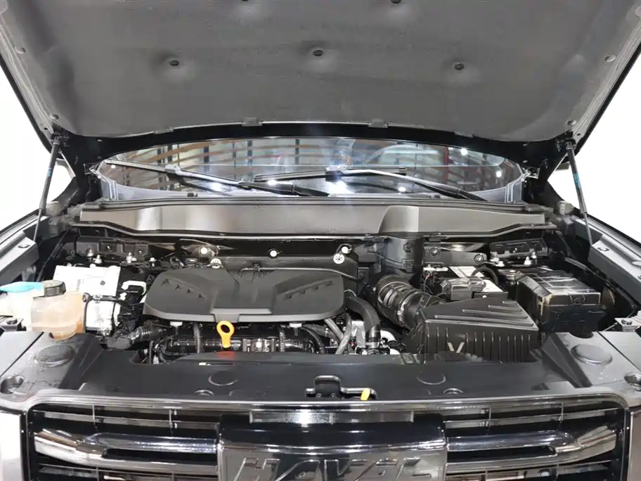 Haval Big Dog 2022 2.0T DCT AWD Chinese Rural Dog Edition