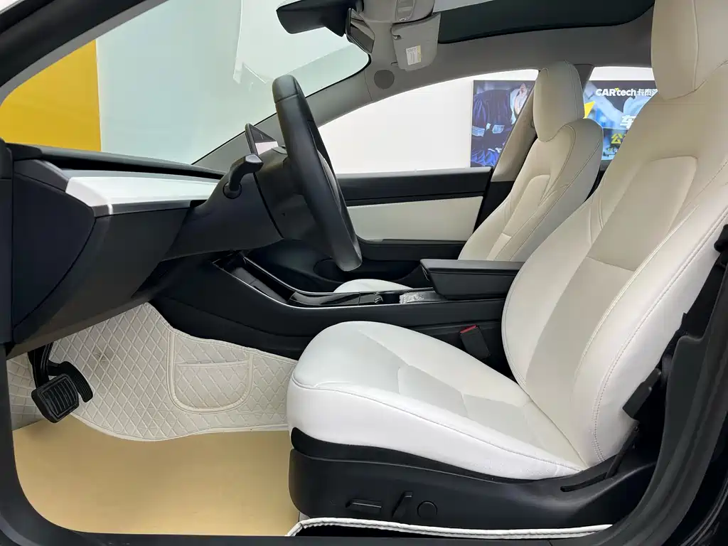 Model 3 2020 Standard Range Plus RWD