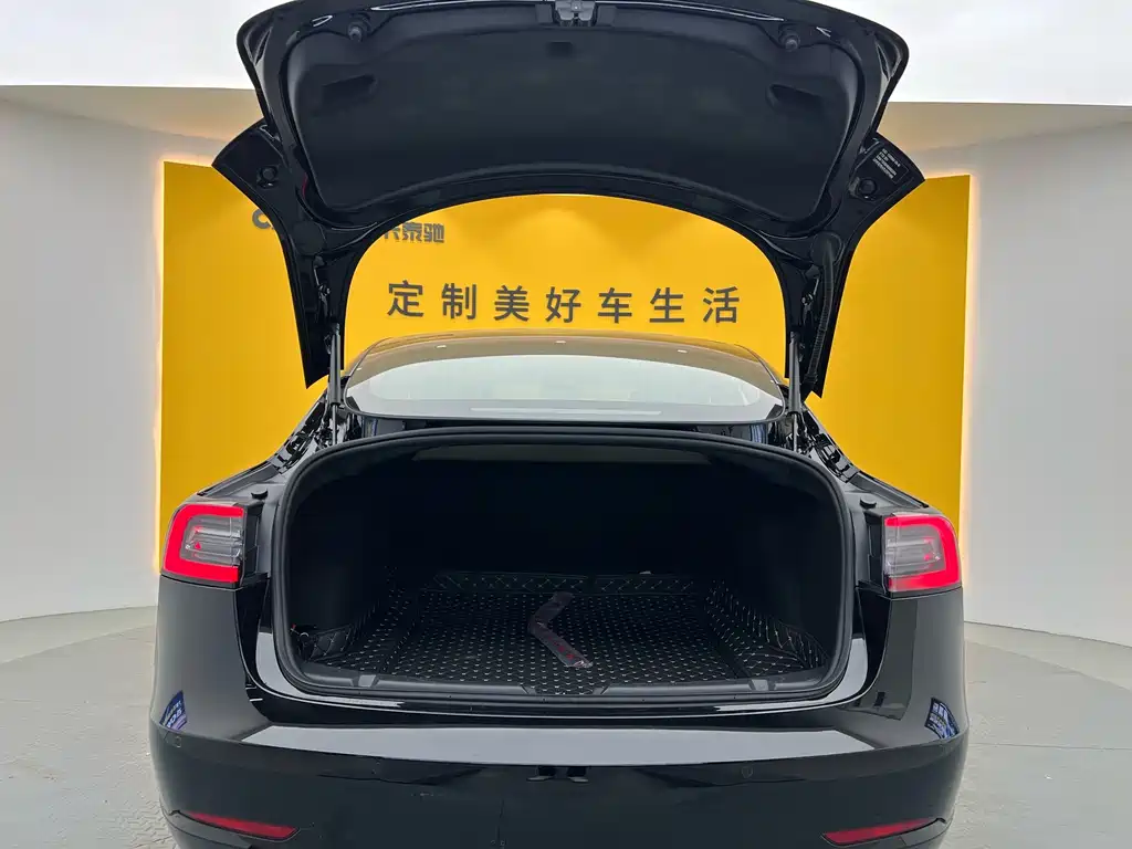 Model 3 2020 Standard Range Plus RWD