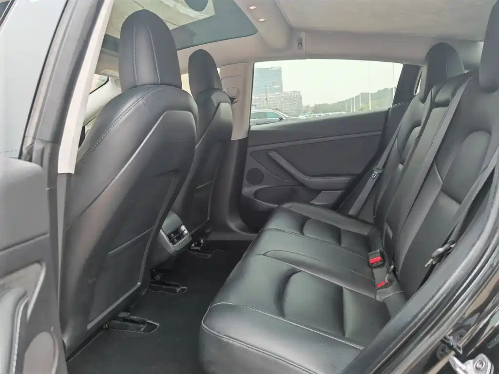 Tesla Model 3 2022 Rear-Wheel Drive