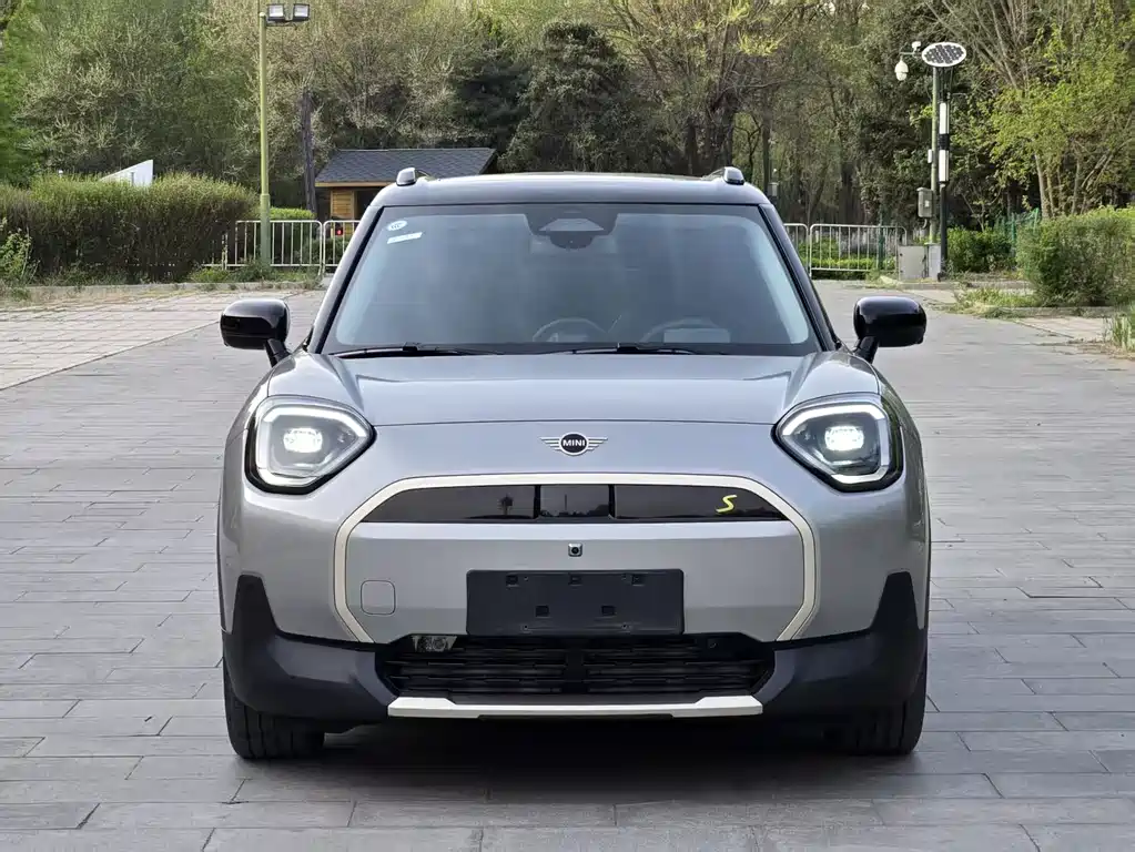 MINI ACEMAN 2025 SE Artist