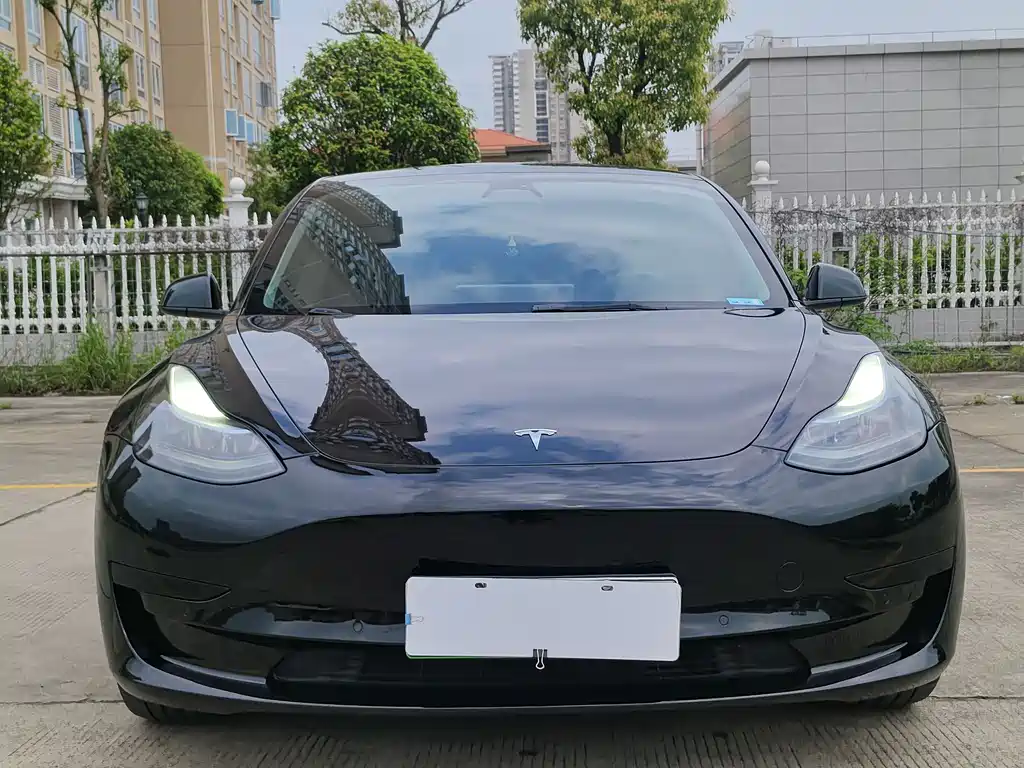 Tesla Model 3 2022 Rear-Wheel Drive