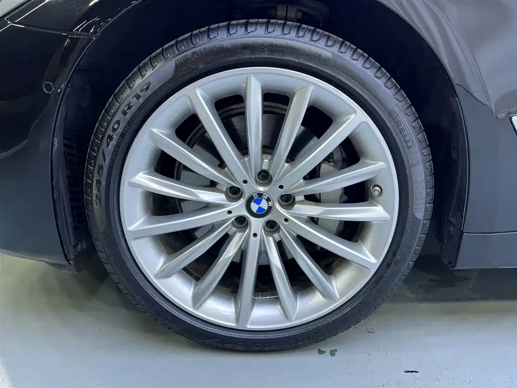 BMW 5 Series 2021 530Li xDrive Luxury Line