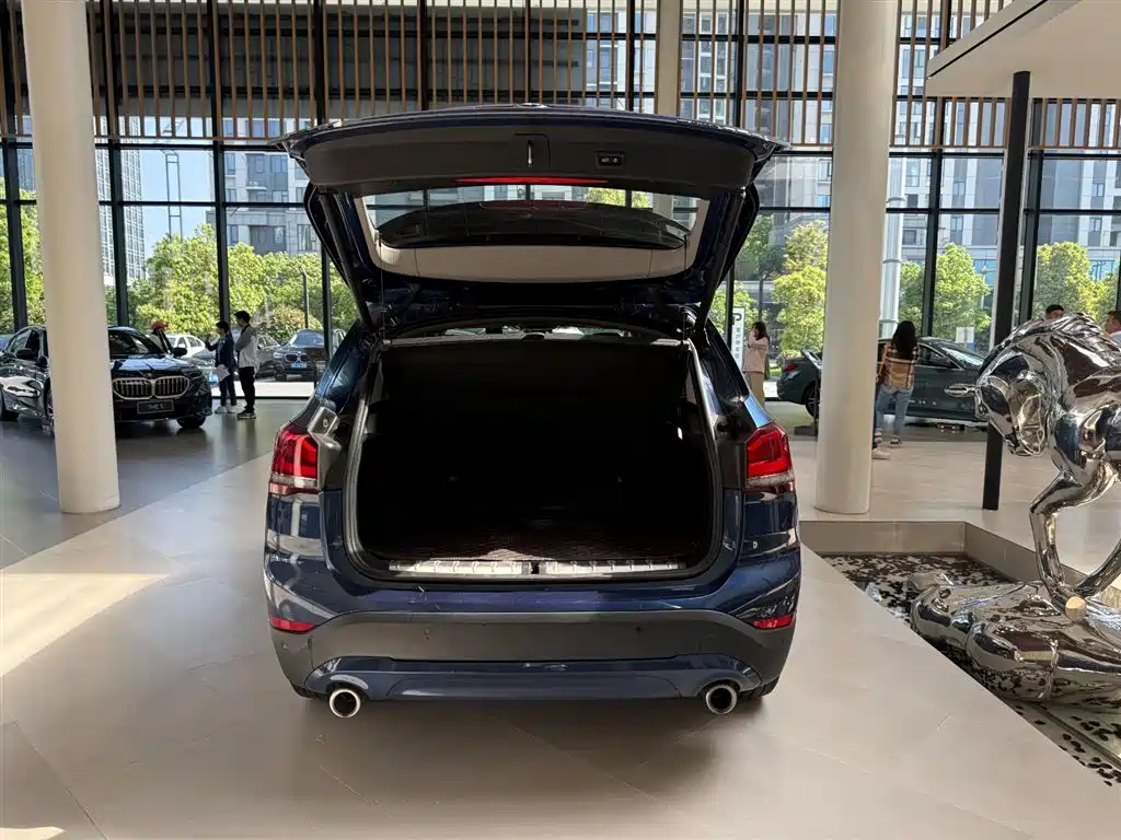 BMW X1 2021 sDrive25Li Leading Edition