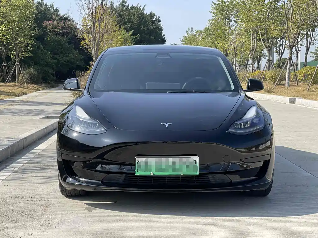 Tesla Model 3 2021 Standard Range Plus RWD