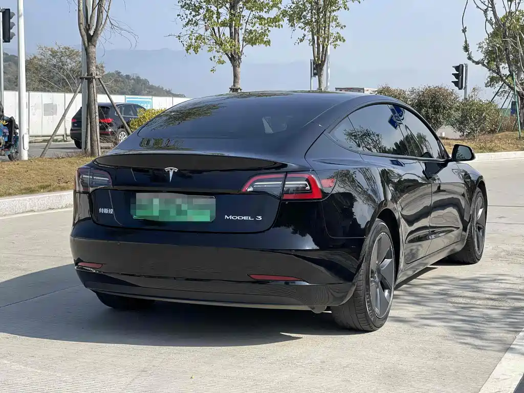 Tesla Model 3 2021 Standard Range Plus RWD