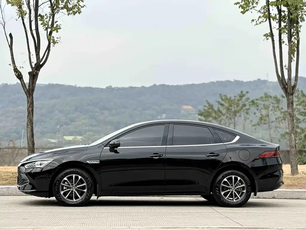 Qin PLUS 2023 Champion Edition DM-i 55KM Leading