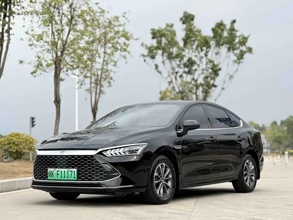 Qin PLUS 2023 Champion Edition DM-i 55KM Leading