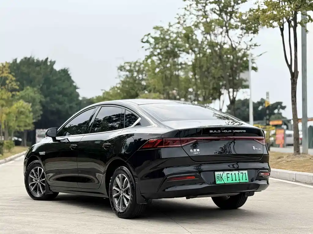 Qin PLUS 2023 Champion Edition DM-i 55KM Leading