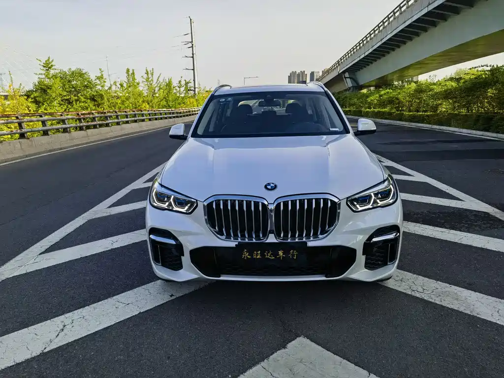 BMW X5 2022 xDrive30Li Premium M Sport Package