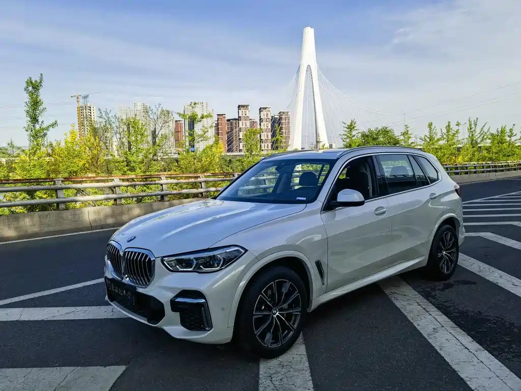 BMW X5 2022 xDrive30Li Premium M Sport Package