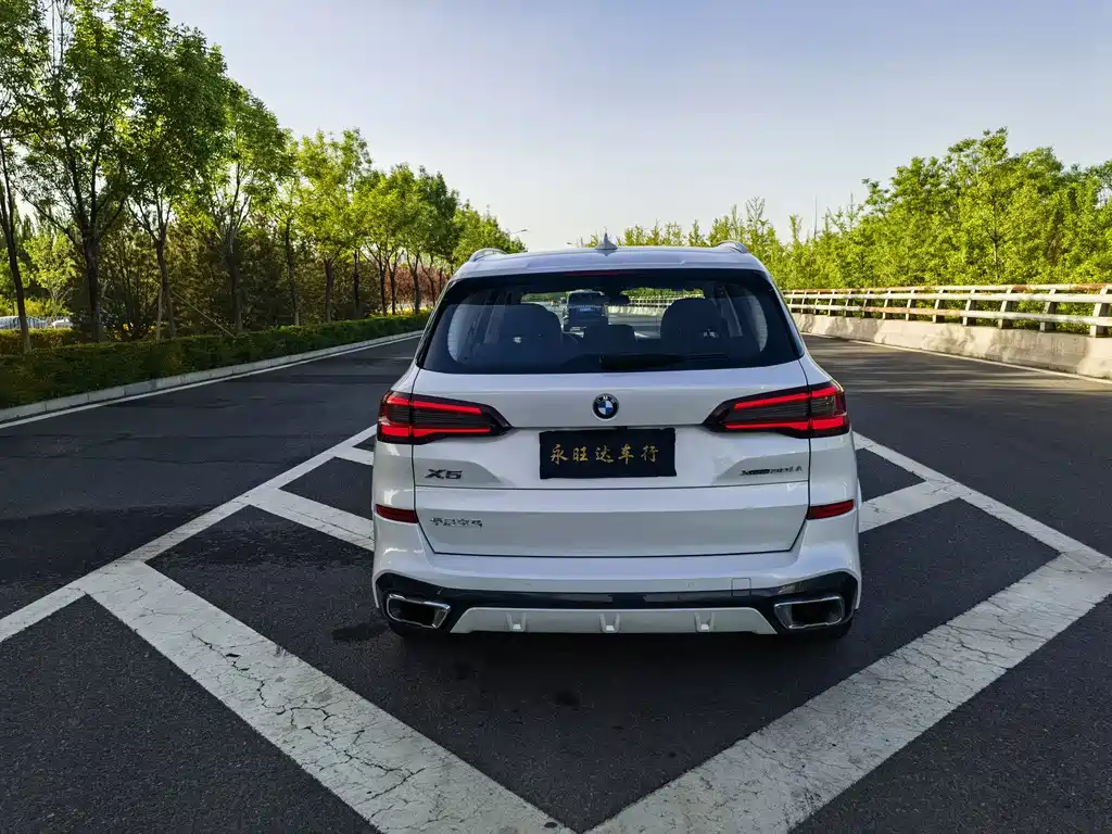 BMW X5 2022 xDrive30Li Premium M Sport Package