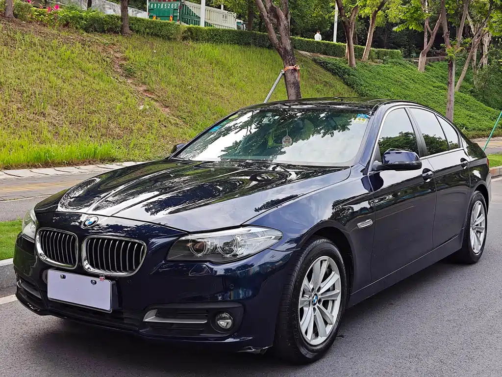 BMW 5 Series Import 2014 520i Elegant Edition