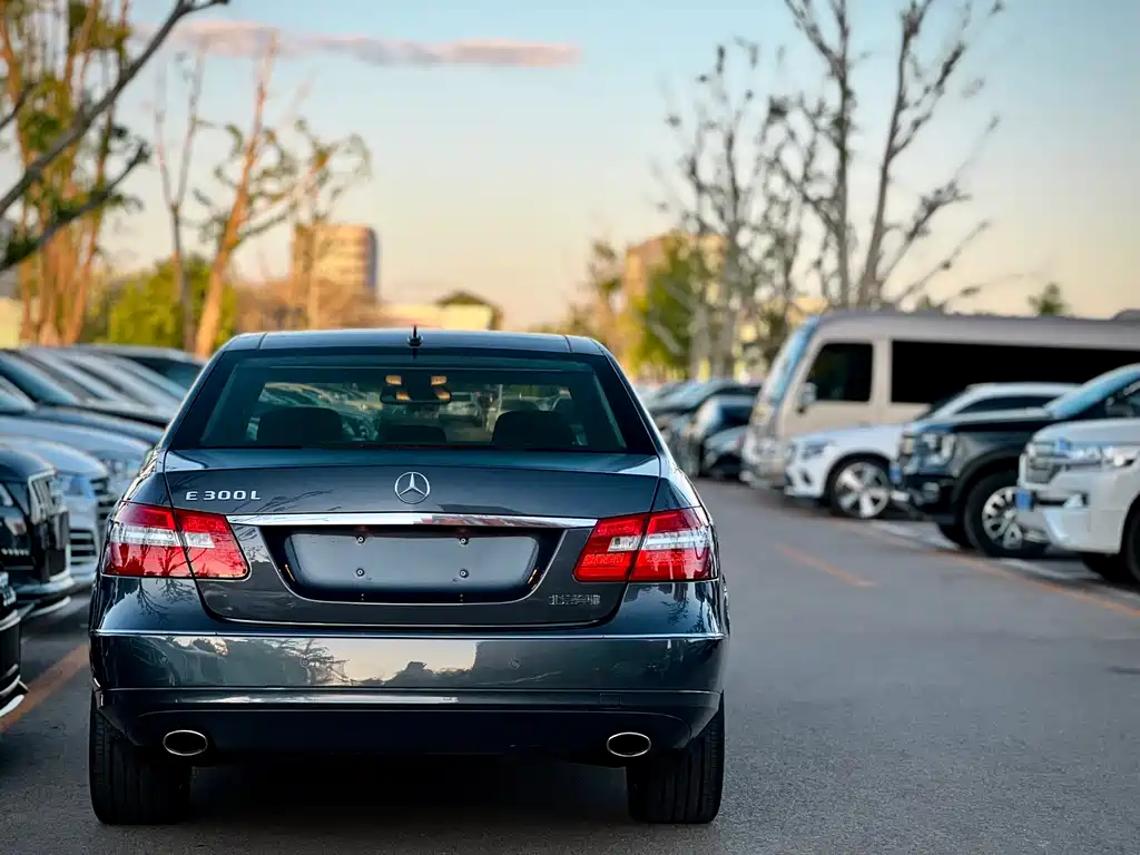Mercedes-Benz E-Class 2010 E 300 L Elegance