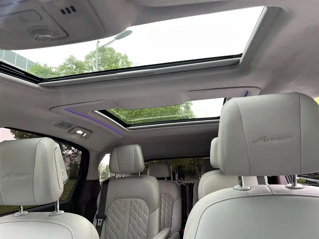 Buick GL8 2022 Avenir Six-Seat Xianli Edition